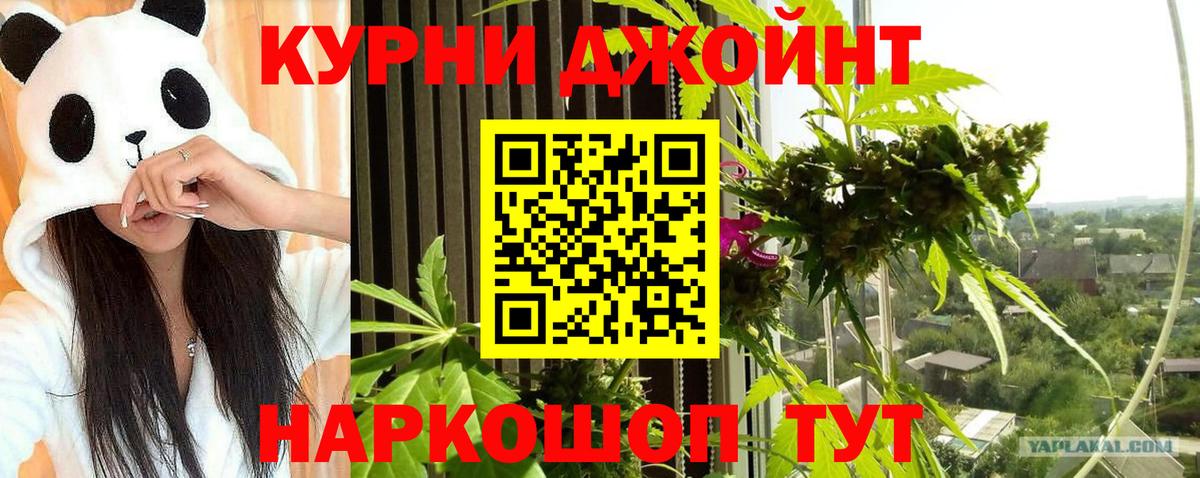 Бошки марихуана семена Кызыл